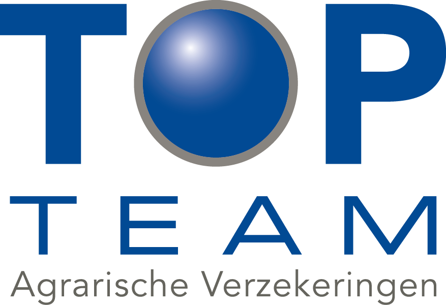 TOPTEAM FC 01